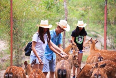Tour đảo khỉ suối Hoa Lan