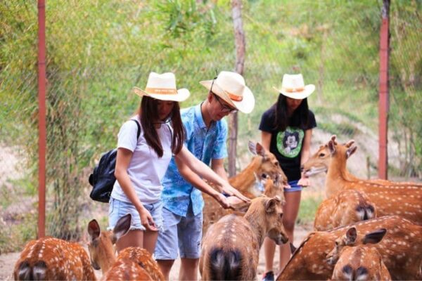 Tour đảo khỉ suối Hoa Lan