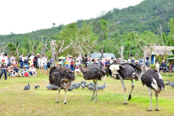 Tour đảo khỉ suối Hoa Lan