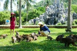 Tour đảo khỉ suối Hoa Lan
