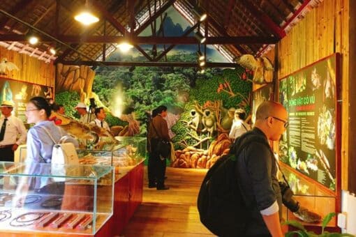 Tour đảo khỉ suối Hoa Lan