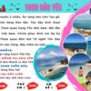 tour đảo yến nha trang tàu gỗ