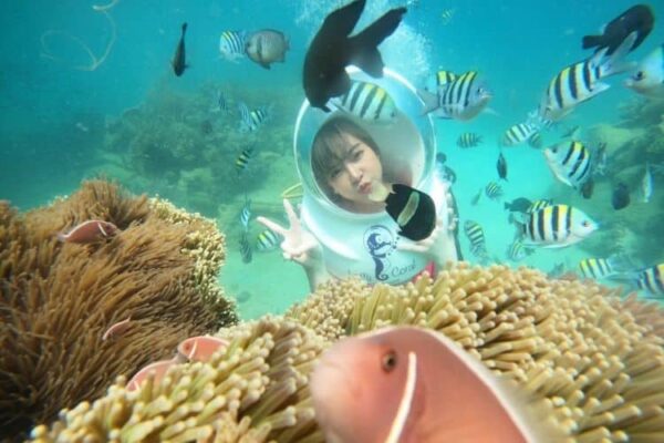 Tour 1 đảo Vip Hòn Tằm