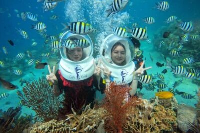 Tour 1 đảo Vip Hòn Tằm