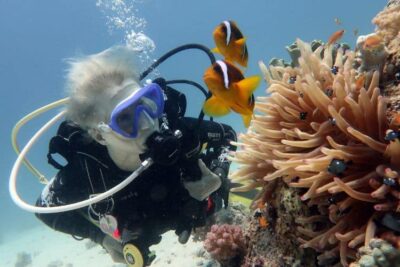 tour 2 đảo nha trang