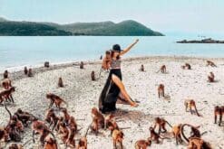 Đảo Khỉ Nha Trang vừa chơi vừa ‘thót tim’ vì những đàn khỉ tinh nghịch