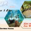 Tour 1 đảo Vip Hòn Tằm