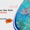 tour snorkeling nha trang