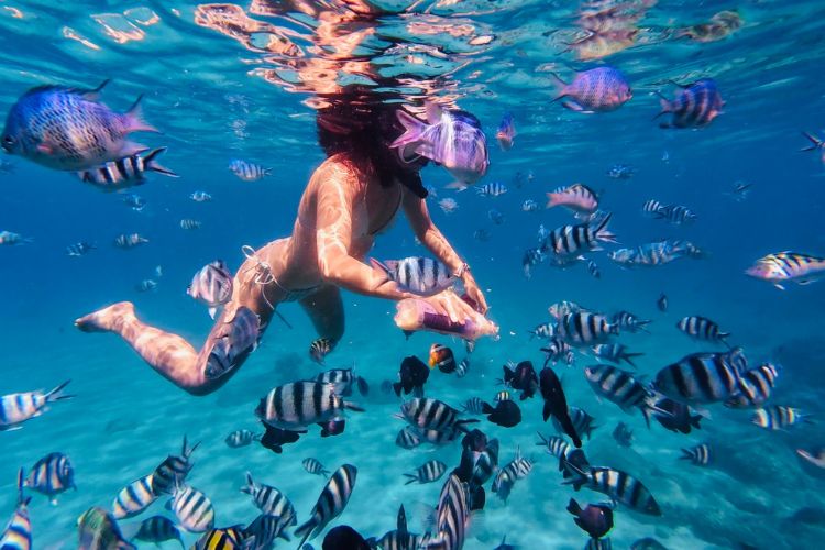 bảng giá tour đảo nha trang