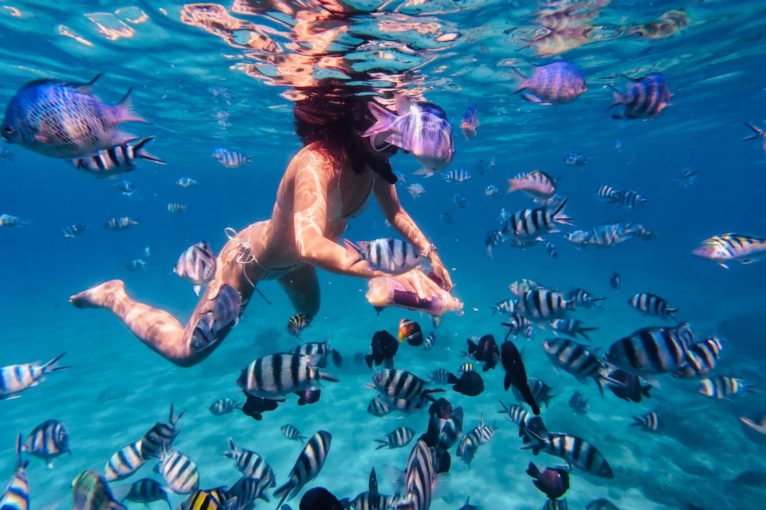 Tour 3 đảo Nha Trang 1 ngày