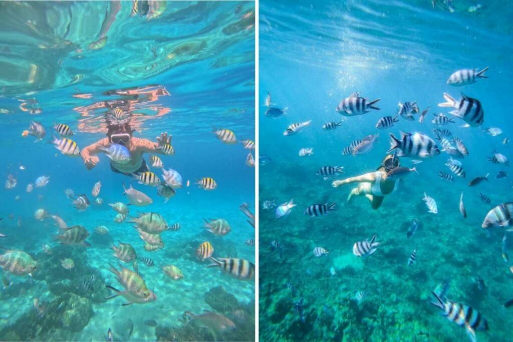 Khám phá lặn biển Hòn Mun Nha Trang - Hành trình khám phá đại dương tuyệt đẹp (full guide 2026) 5 游览 3 个岛屿 芽庄 汉门