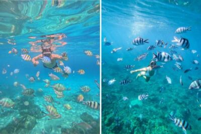 Tour 3 đảo Nha Trang Hòn Mun