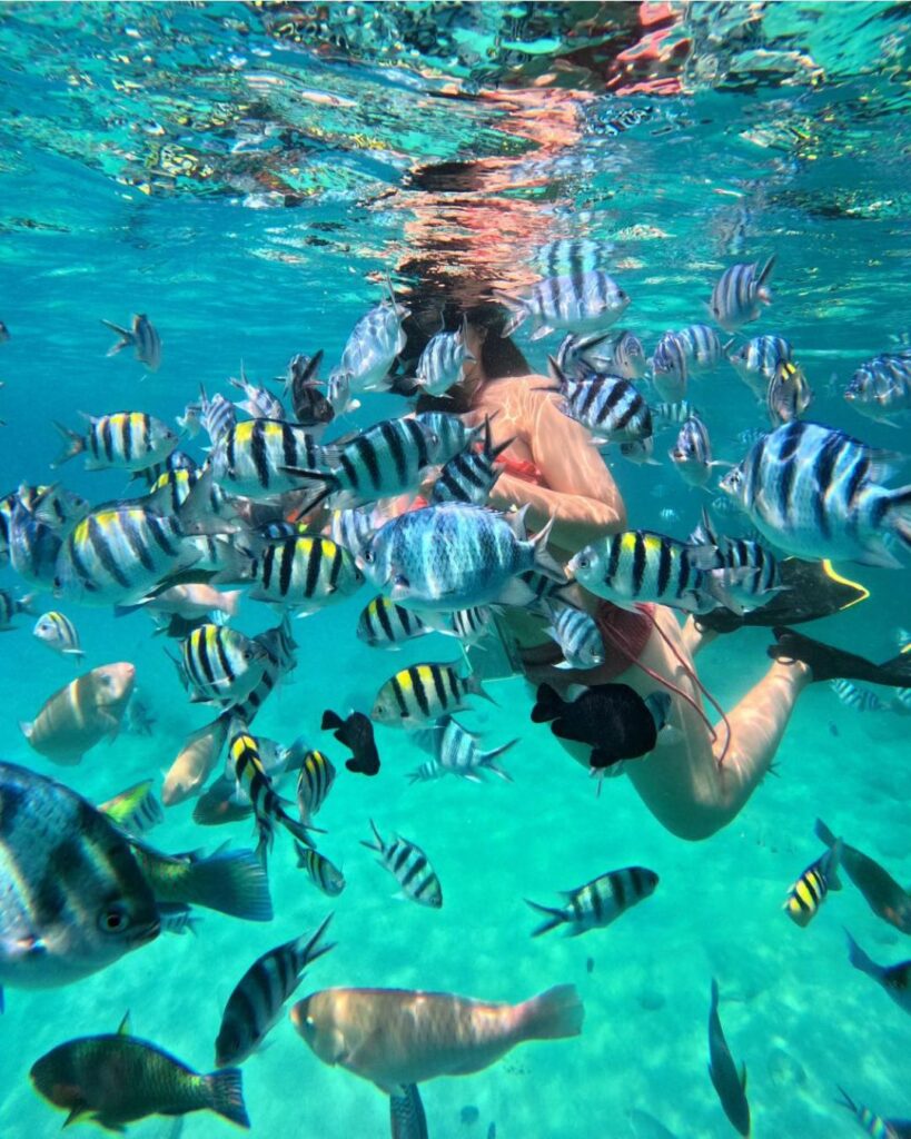 thuê tàu gỗ nha trang