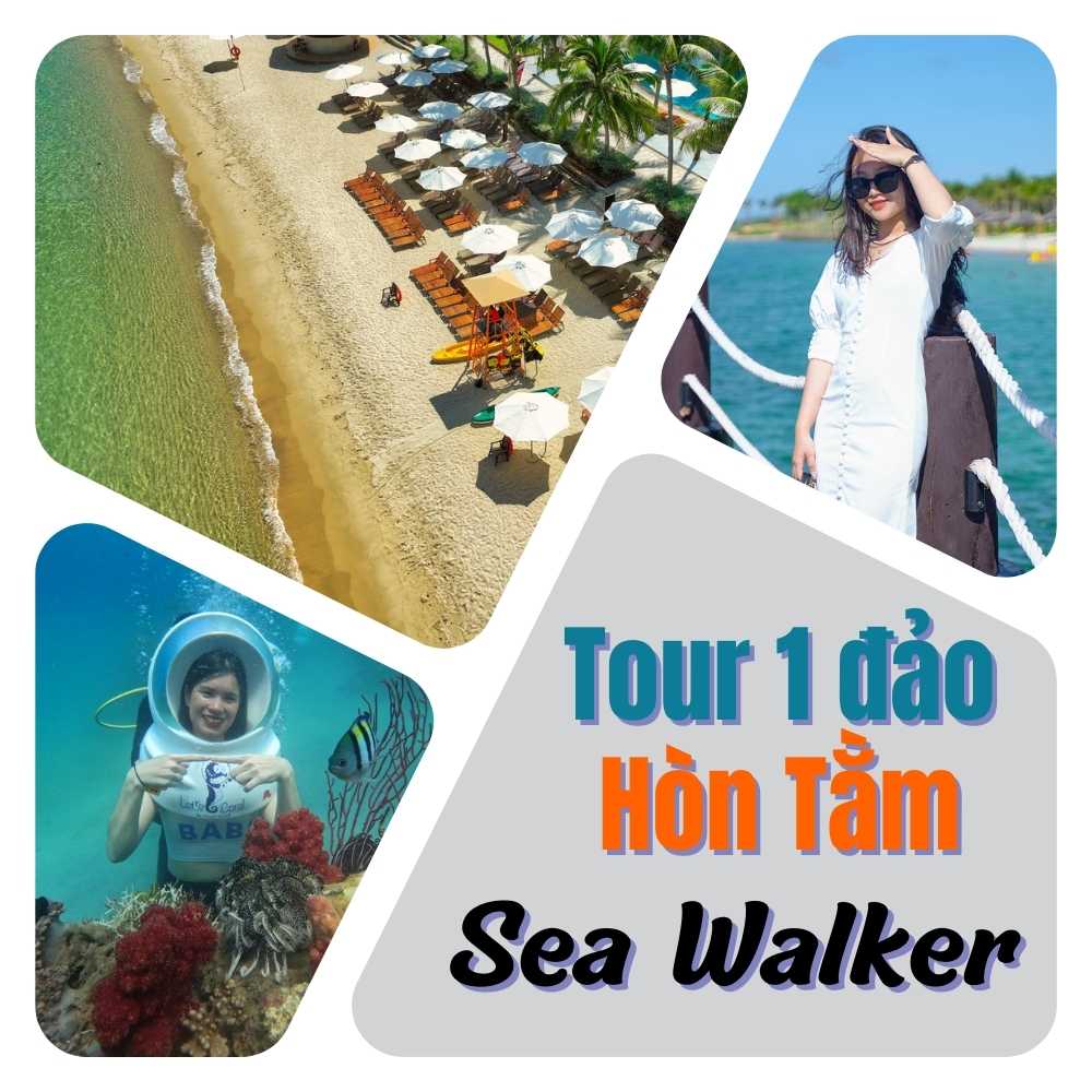 tour 1 đảo hòn tằm