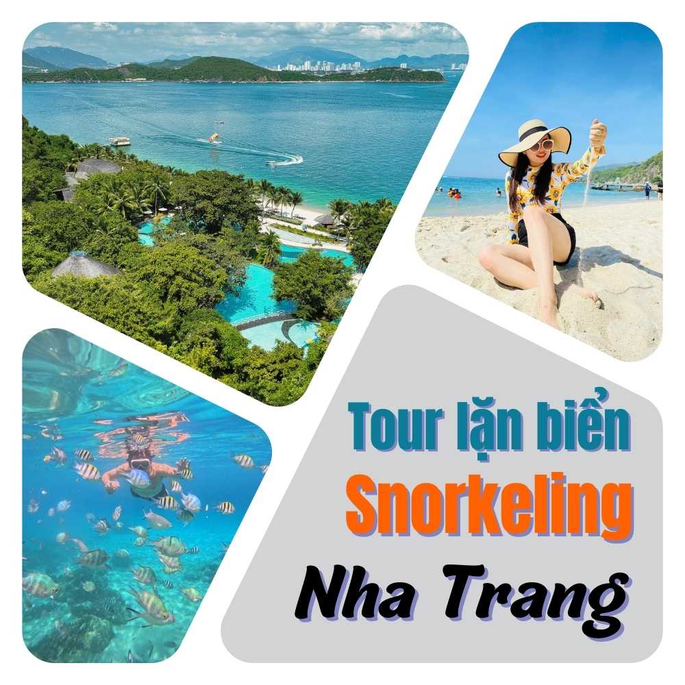 tour lặn biển snorkeling