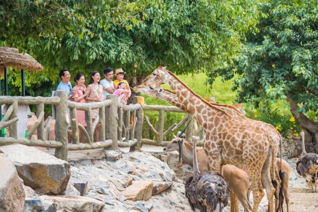 Vườn thú_Vinwonders nha trang