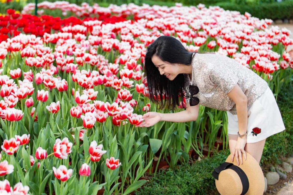 World Garden_Vinwonders nha trang