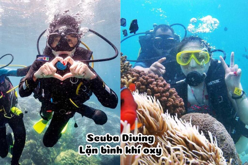 Thể thao biển _ Scuba diving