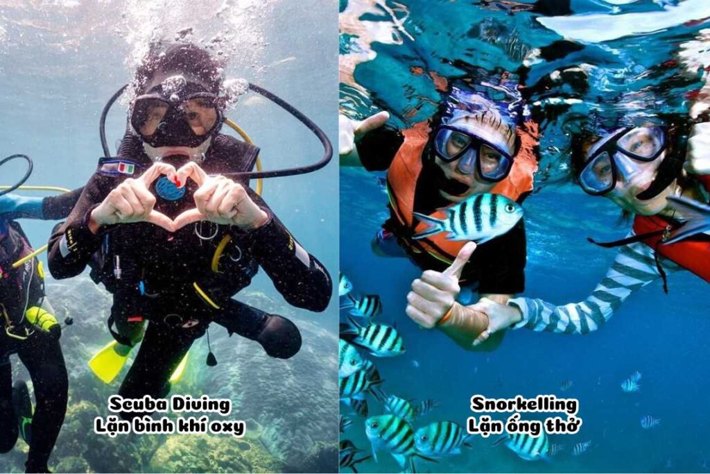 Tour lặn ngắm san hô Hòn Mun Nha Trang