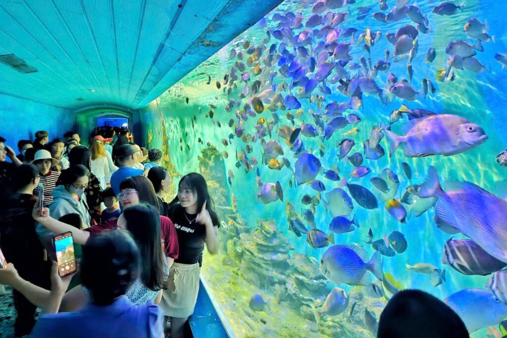 21 Điểm Du Lịch Nha Trang – Thiên Đường Biển Việt Nam 13 diem du lich nha trang 007