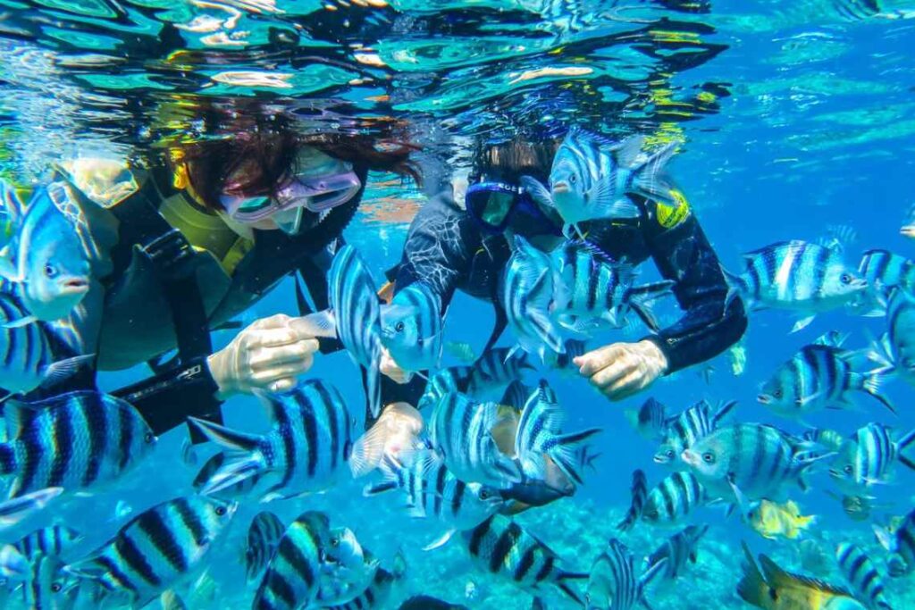 khám phá lặn biển hòn mun nha trang