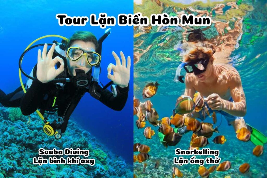 Tour lặn ngắm san hô Hòn Mun Nha Trang