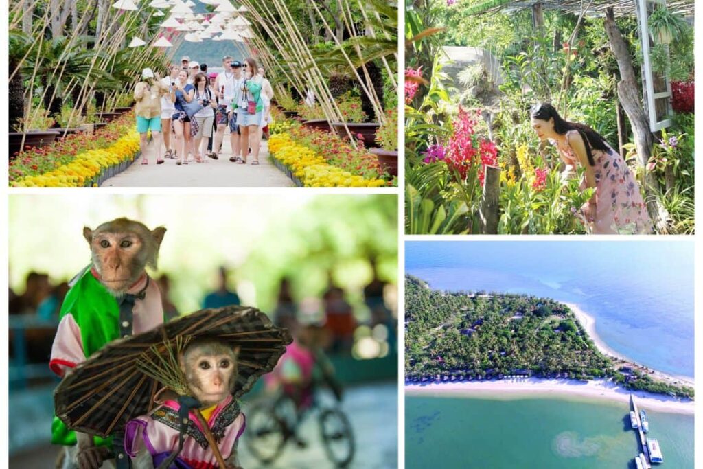 đặt vé tour đảo khỉ suối hoa lan